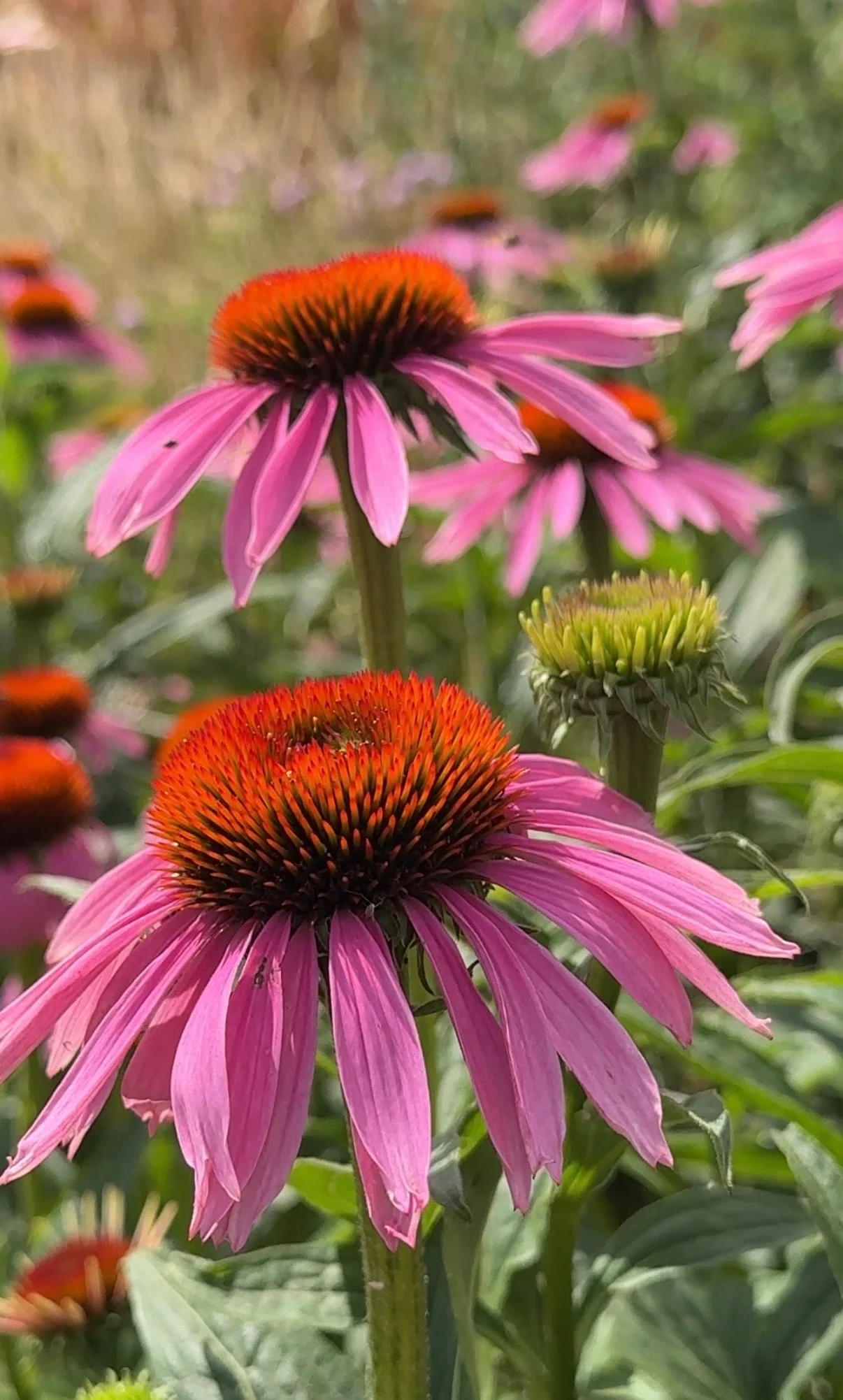 Thumbnail 18