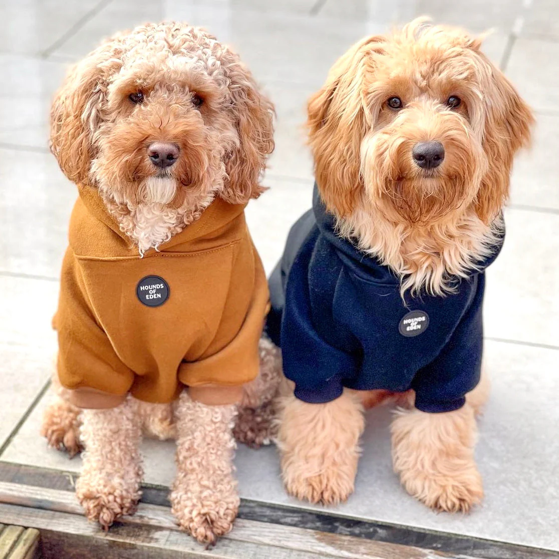 Thumbnail 16